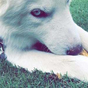 Meet your Posher, Yessica